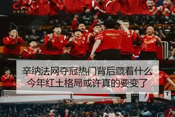 辛纳法网夺冠热门背后藏着什么 今年红土格局或许真的要变了 | kaiyun